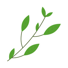 branch with leaves