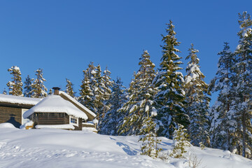 Snow covered mountain hut in the forest , blue sky and sun.