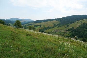 Fototapeta na wymiar Beautiful nature in Carpathian Mountains, Ukraine