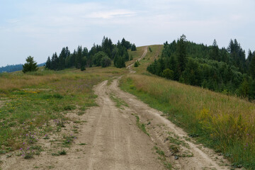 Fototapeta na wymiar Dirt road in beautiful Carpathian Mountains, Ukraine