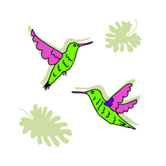 Hand drawn flying hummingbirds with tropical leaves. Perfect for T-shirt, poster, greeting card and print. Doodle vector illustration for decor and design.
