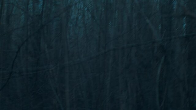 Running through Scary Forest POV