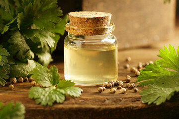 Coriander seed oil in a glass bottle on a rustic wooden background, closeup, copy space, natural...