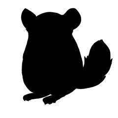  silhouette of chinchilla on white 