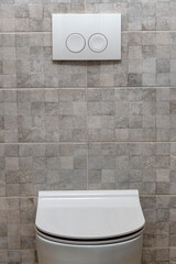 Toilet bowl. Toilet button