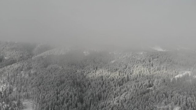 winter mountains shrouded by low clouds