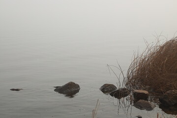 Stones in water in morning fog