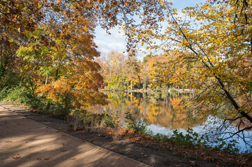 Le lac du parc de la tête d'or en automne, couleurs d'automne, Lyon, France - 472098932