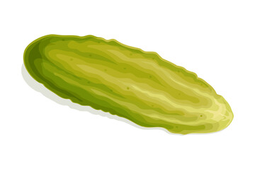 Pickled Cucumber or Gherkin Isolated on White Background Vector Illustration