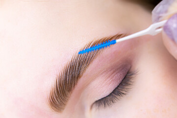 close-up of the completed procedure, the master combs the model's eyebrow with a micro brush after...