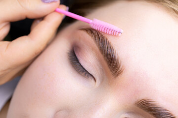 macro photography of the model's hairs the master combs the eyebrow hairs with a pink brush after the procedure long-term styling and lamination - obrazy, fototapety, plakaty