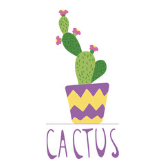 Hand drawn cactus in a colourful ceramic pot, doodle style, isolated on a white background. Vector illustration