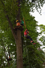 A teenage guy climbs a hanging ladder in a rope amusement park
