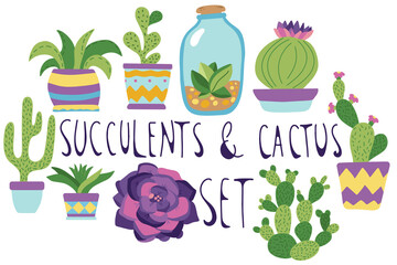 Set with succulents and cactus in a hand drawn doodle style, isolated on a white background. Vector illustration