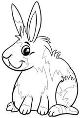 cartoon miniature rabbit animal character coloring book page