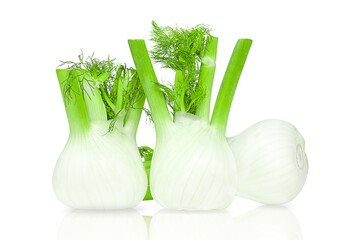 three fennel isolated on white background.