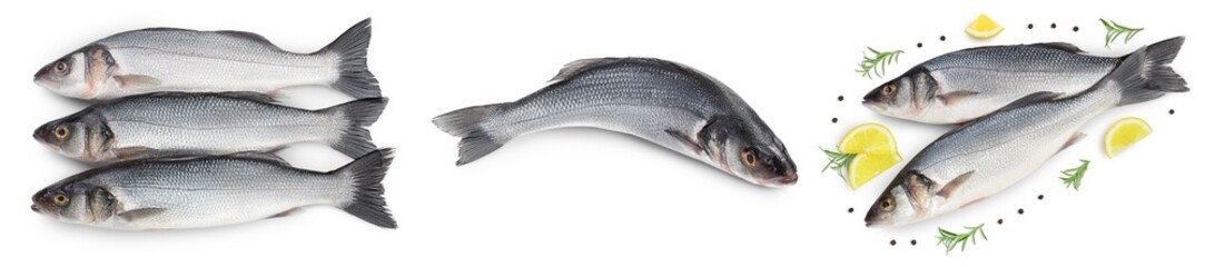 Sea bass fich isolated on white background. Top view. Flat lay. Set or collection