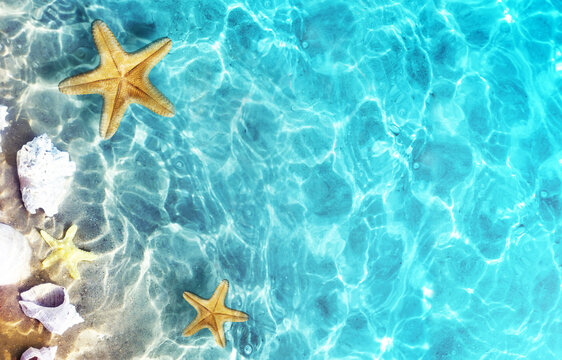 Starfish, coral and seashell on the summer beach in sea water. Summer background.