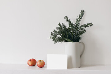 Winter festive stationery still life. Jug with green branches, red apple fruit on white table...