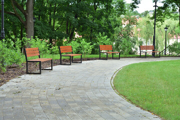 Park benches under green trees on a cloudy summer day.