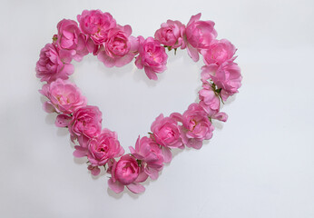Pink roses Heart shape.on white background.Rose is a flower symbol represents love, romance in Valentines Day