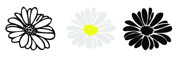 Daisy flower head set , hand drawn illustation , isolate on white backgrond