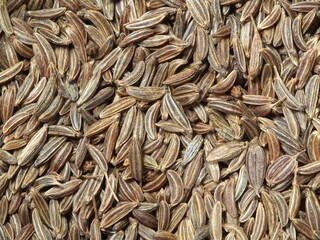 Macro photo of Caraway seeds. Best Spice for Health.