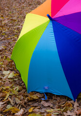 Colorful umbrella lying on yellow leafs in autumn day