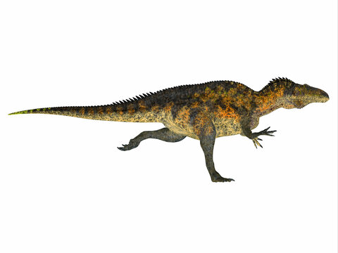 Acrocanthosaurus Dinosaur Running - Acrocanthosaurus was a carnivorous theropod dinosaur that lived in North America during the Cretaceous Period.