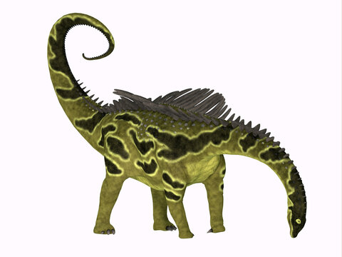 Agustinia Herbivore Dinosaur - Agustinia was an armored sauropod dinosaur that lived in South America during the Cretaceous Period.