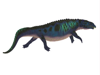 Placodus Triassic Reptile - Placodus was a marine carnivorous reptile that lived in the seas of China and Europe during the Triassic Period.
