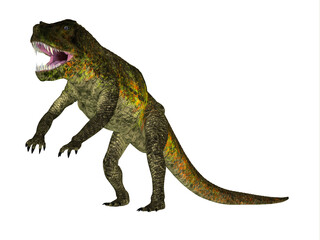 Postosuchus Reptile Jaws - Postosuchus was a carnivorous reptile that lived in North America during the Triassic Period.