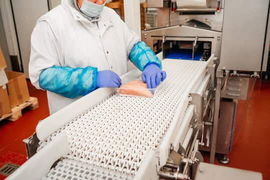 modern poultry processing plant.Meat processing in food industry.Packing of meat slices in boxes on a conveyor belt.Line for the production of semi-finished meat products.