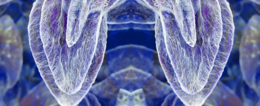 333 BEST Multiform IMAGES, STOCK PHOTOS & VECTORS | Adobe Stock