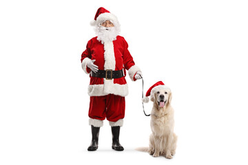 Santa claus standing with a retriever dog wearing a christmas hat