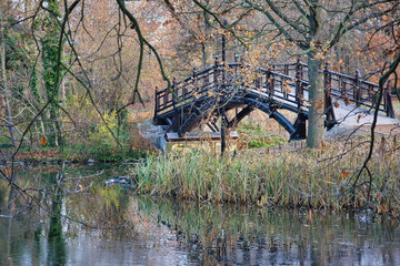 Brücke im Johanna Park im Herbst, Morgens, Morgenstimmung, Leipzig, Sachsen, Deutschland