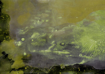 Paint drops and Splashes on green background, abstract Background