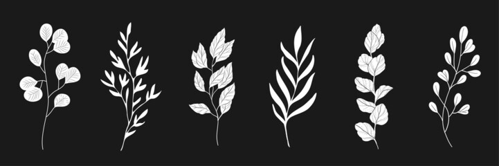 Minimal feminine botanical floral branch in silhouette style. Hand drawn wedding herb, minimalistic flowers with elegant leaves. Botanical rustic trendy greenery vector