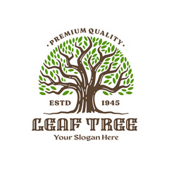Obraz premium Tree logo template, vintage logo design. vector illustration 