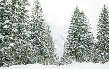 View of the nearby mountains follows the road to the Sea Eye .Wwinter, Zakopane
