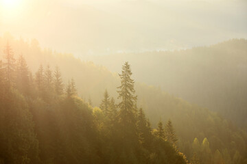 Amazing view of beautiful foggy mountains in morning