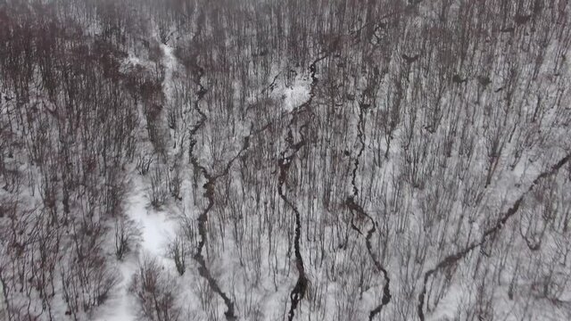 Snowy wild forest crossed by small streams on a foggy day. Hayedo de Canseco in Le&oacute;n, Spain. 4K Discovering Aerial Footage