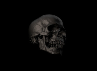 Only Human skull full face on Black Isolated Background. The concept art of death, horror. Design for print, poster. A symbol of spooky Halloween, Virus, immortal, pirat. 3d rendering illustration.