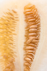 closeup view of melon slice, cucumis melo, edible herbal fruit, macro