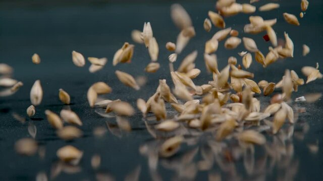 SLOW MOTION, MACRO, DOF: A mixture of linseeds and dried grains gets scattered across shiny black table. Tiny seeds and grain falling onto the glossy countertop. Organically grown flaxseed and wheat.