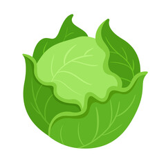cabbage vector illustration logo icon clipart 