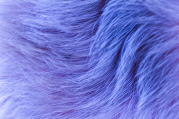 Abstract Beautiful Purple Feather Background Texture