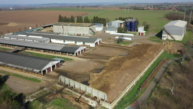 Dairy cows cowshed feeding barn drone aerial video shot, Holstein Friesian cattle breed milk, cow eat corn silage feed, cowshed is a modern and not bricked, Holsteins in North America