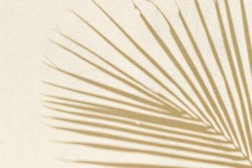 palm leaf shadow on beige concrete wall background texture