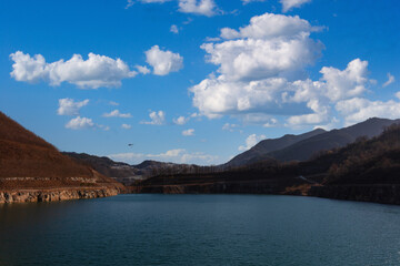 Obraz premium 대나무 풍경